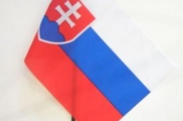 Vlajka s autem (30x45cm)