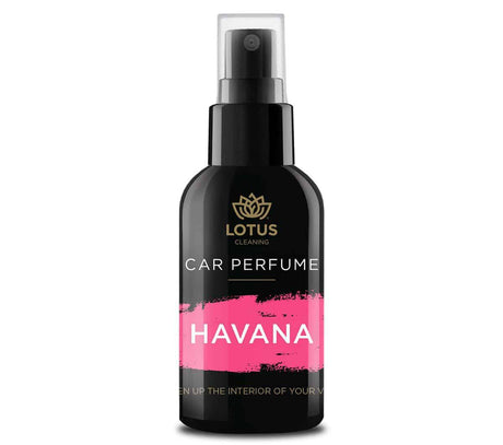 Premium autodifuzér autovůně 100 ml