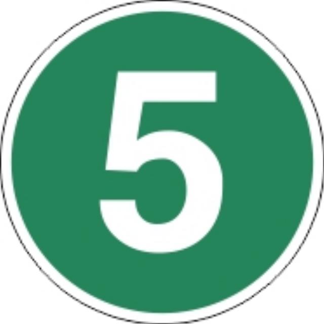 Matrica 5 EURO 5