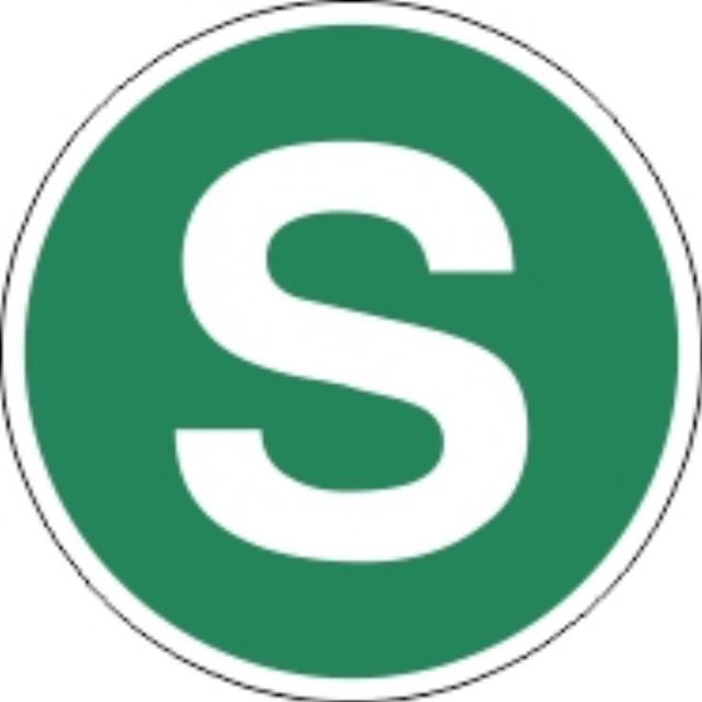 Malá samolepka S (zelený kruh) 13 cm