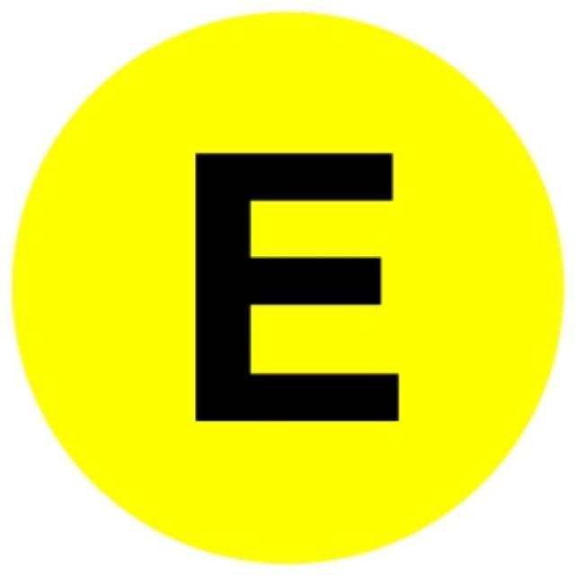 Nálepka E (černé E v žlutém kruhu) 22 cm